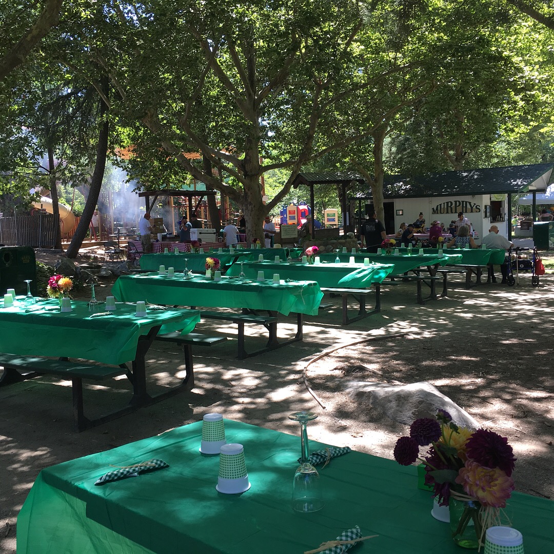 2017-07-15 11.34.07-1